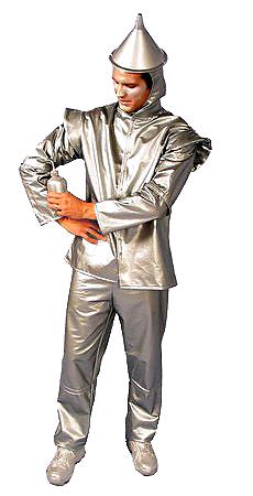 Rental store for TIN MAN   MASK  SILVER FABRIC  ADULT in Kingsport TN