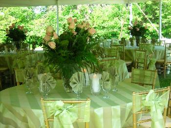 Rental store for OVERLAYS,  SAGE  ETERNITY STRIPE 72X72 in Kingsport TN