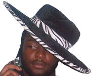 Rental store for HAT, PIMP  WHITE BLACK ZEBRA in Kingsport TN