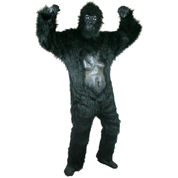 Rental store for GORILLA , BLACK WITH FEET  MASCOT in Kingsport TN