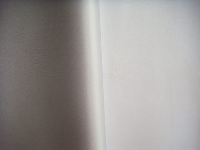 Rental store for RUNNER,  SATIN   SILVER in Kingsport TN