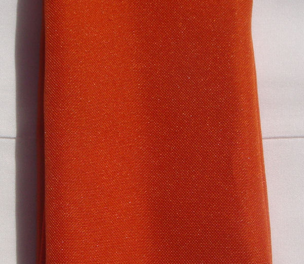 Rental store for NAPKIN,  ORANGE  U.T. 17X17 in Kingsport TN