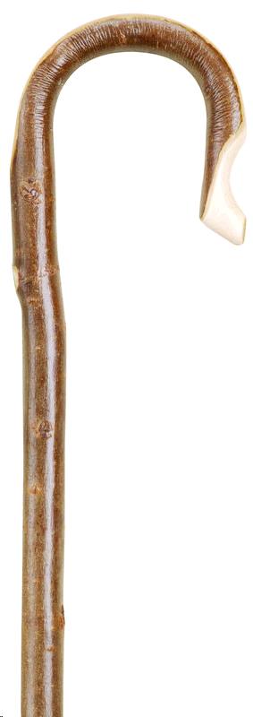 Rental store for STAFF, WALKING WOODEN CANE in Kingsport TN