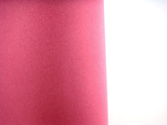 Rental store for RUNNER,  MAGENTA  POLY in Kingsport TN