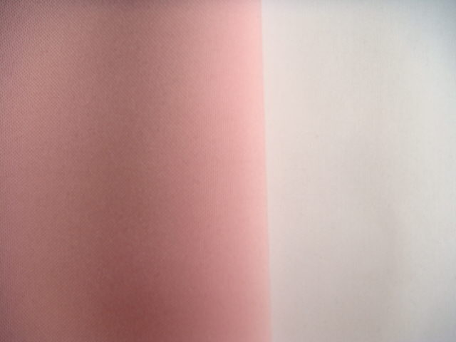 Rental store for RUNNER, POLY  PINK BALLOON in Kingsport TN