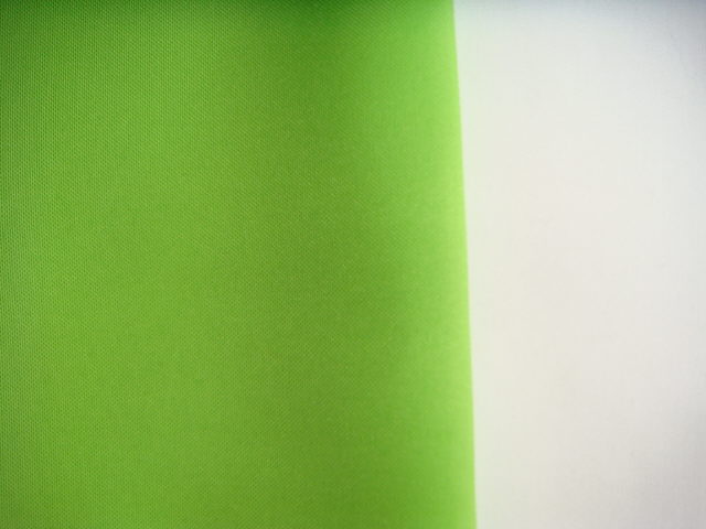 Rental store for RUNNER,  LIME  POLY in Kingsport TN