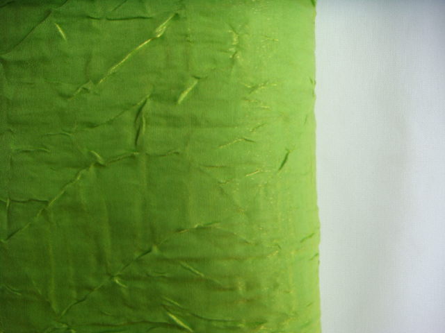 Rental store for RUNNER, IRIDESCENT CR.   LIME in Kingsport TN