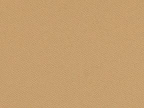 Rental store for CHAIR SASH,  ORGANZA  GOLD 7 INCH in Kingsport TN