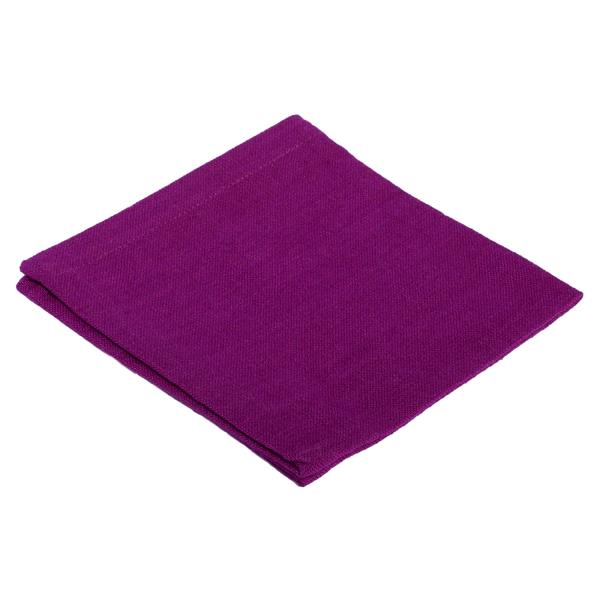 Rental store for NAPKIN,  PLUM  17X17 in Kingsport TN