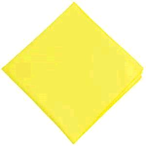 Rental store for NAPKIN,  LEMON  17X17 in Kingsport TN