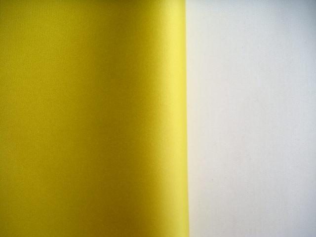 Rental store for RUNNER,  MATTE SATIN  LEMON in Kingsport TN