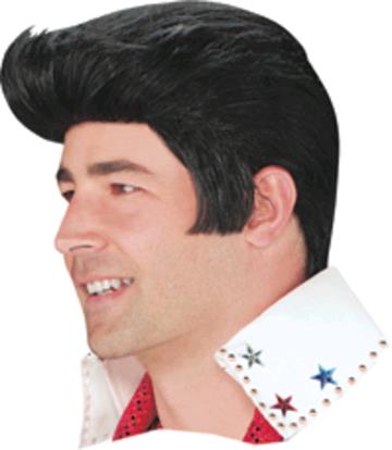 Rental store for WIG, ELVIS in Kingsport TN