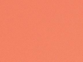 Rental store for LINEN,  CORAL  90X132 in Kingsport TN