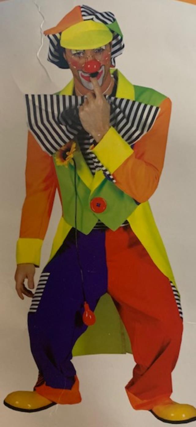 Rental store for CLOWN  OLAF  FANCY MALE LG. in Kingsport TN