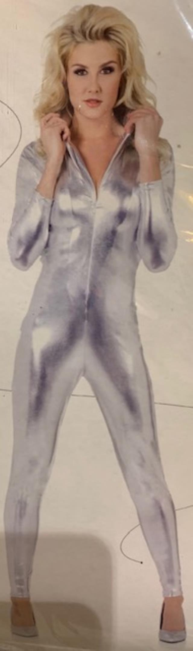 Rental store for 70 S SILVER  METALLIC  JUMPSUIT - LG. in Kingsport TN