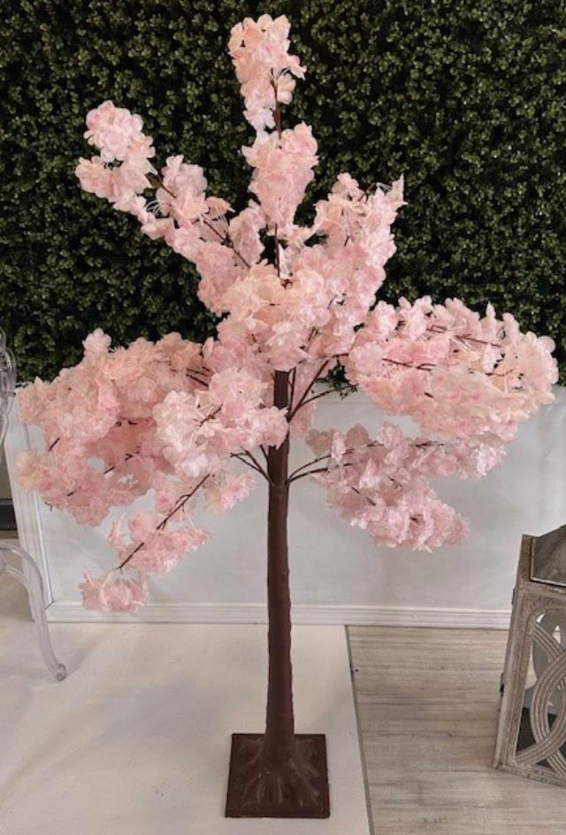 Rental store for TREE,  DOGWOOD  PINK 5FT. in Kingsport TN