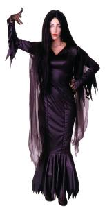 Rental store for ADAMS FAMILY, MORTICIA in Kingsport TN