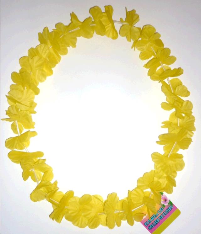 Rental store for LEIS  FLOWERS in Kingsport TN