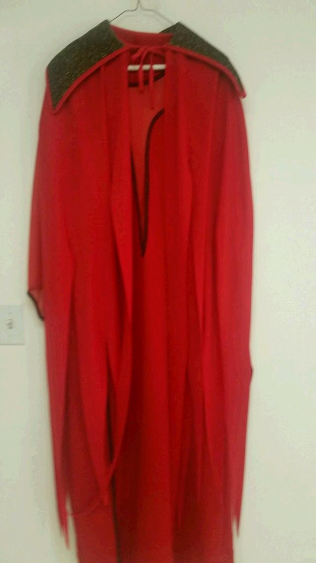 Rental store for SHE DEVIL   LARGE in Kingsport TN