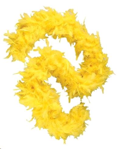 Rental store for BOA,  CHANDELLE  YELLOW  FEATHER in Kingsport TN