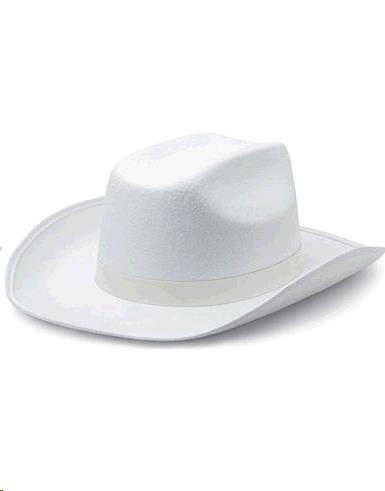 Rental store for HAT,  COWBOY  BLACK in Kingsport TN