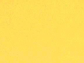 Rental store for LINEN,  LIGHT YELLOW  120 RD. in Kingsport TN