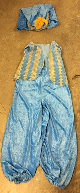 Rental store for MALE GENIE, BABY BLUE W  GOLD TRIM in Kingsport TN