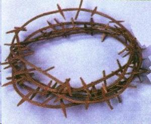 Rental store for CROWN OF THORNS in Kingsport TN