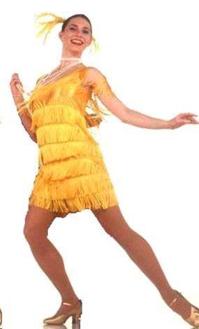 Rental store for FLAPPER, YELLOW  LG. in Kingsport TN