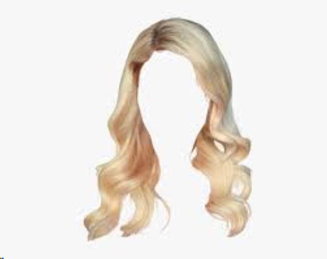 Rental store for WIG, FARAH  BLONDE in Kingsport TN