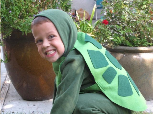 Rental store for TURTLE CHILDS in Kingsport TN