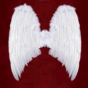 Rental store for ANGEL WINGS WHITE  GIANT  ADULT in Kingsport TN