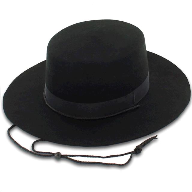 Rental store for HAT, ZORRO DLX ADULT in Kingsport TN