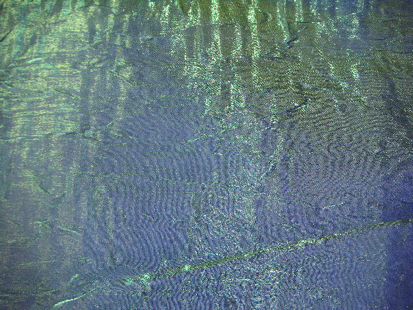 Rental store for OVERLAYS,  GR PURPLE  IRI CR. 72X72 in Kingsport TN