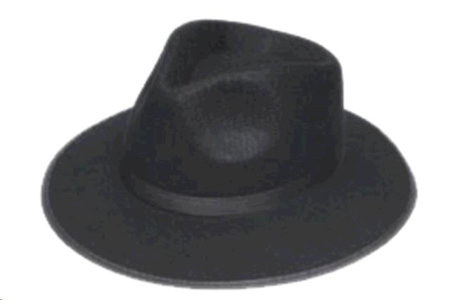 Rental store for HAT, BB FEDORA in Kingsport TN