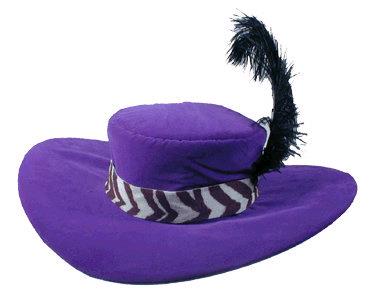 Rental store for HAT, PURPLE  PIMP   BL WH BAND in Kingsport TN
