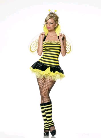 Rental store for SEXY   BEE in Kingsport TN